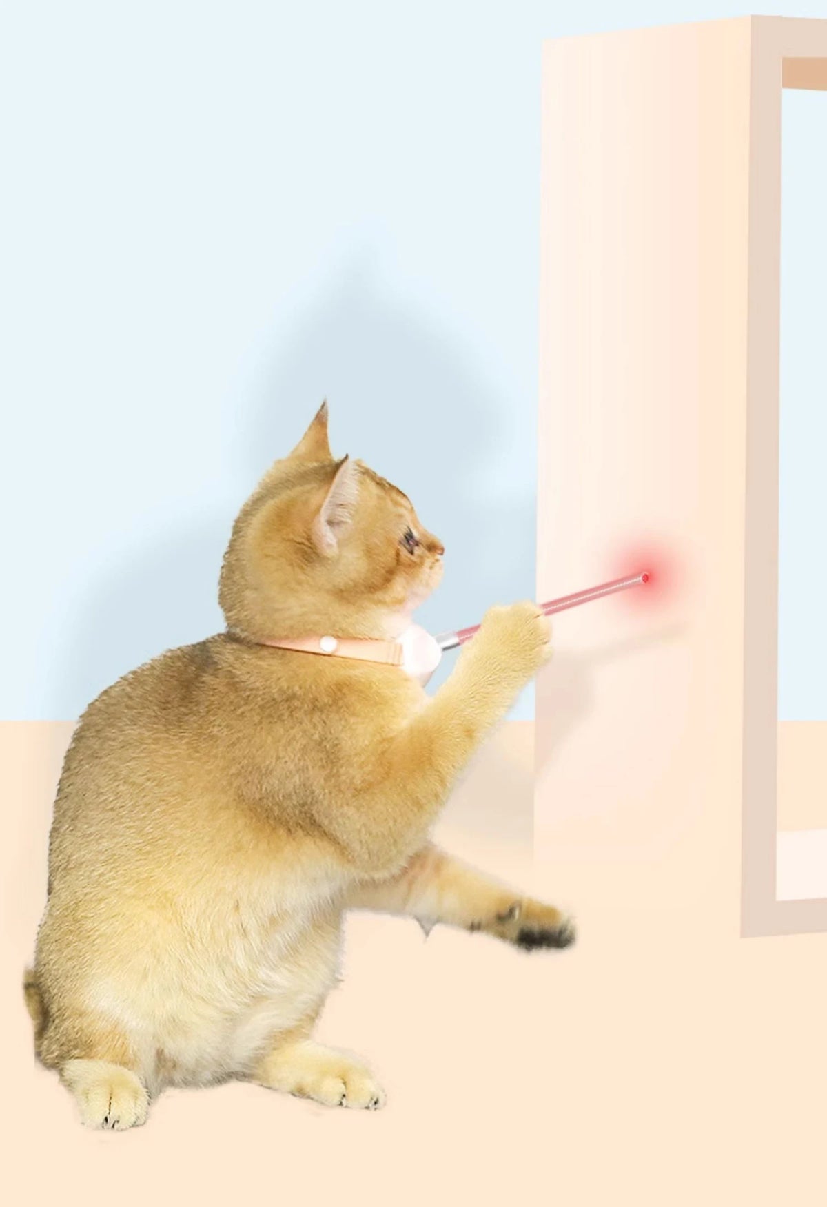 Laser Cat Collar Teasing Cat Electric USB Charging Kitten
