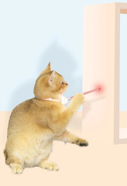 Laser Cat Collar Teasing Cat Electric USB Charging Kitten