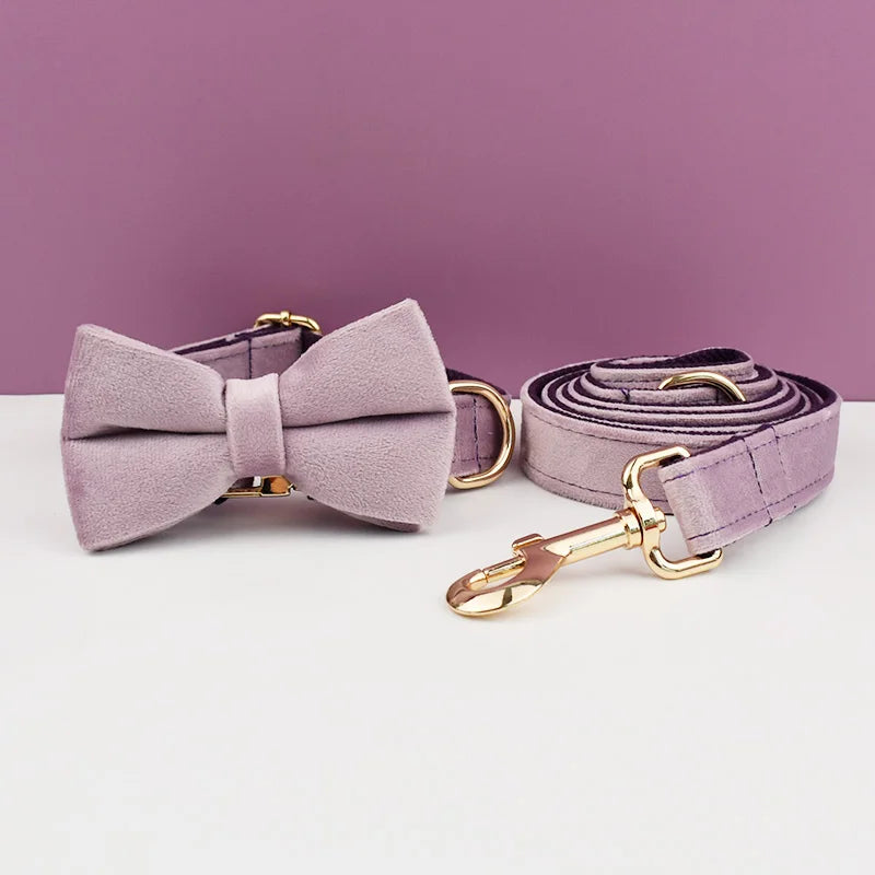 Velvet Collar Free Engrave Dog Collar Leash Dog Collars
