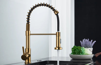 Brushed Gold Kitchen Faucet Pull Down 2-way Spray Single