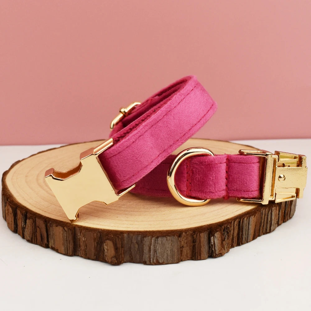 Velvet Collar Free Engrave Dog Collar Leash Dog Collars