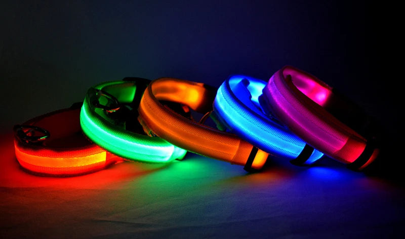 Usb Charging Glowing Dog Collar With Pendant Detachable