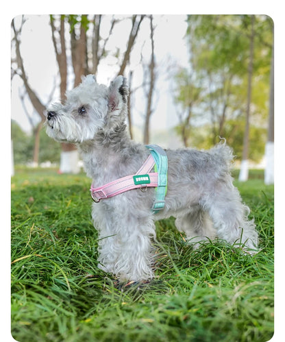 Dog Harness No Pull T-Shape Breathable Spring Summer