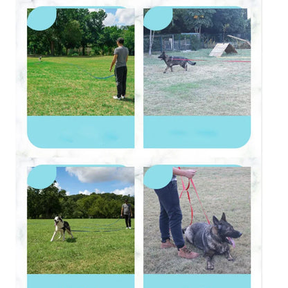 Extra Long Polypropylene Pet Leash Heavy Duty