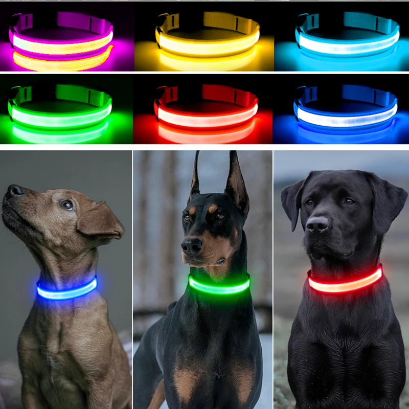 Usb Charging Glowing Dog Collar With Pendant Detachable