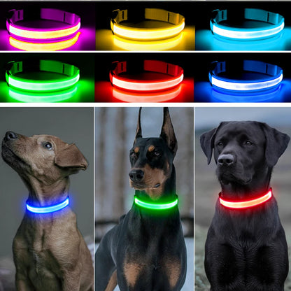 Usb Charging Glowing Dog Collar With Pendant Detachable