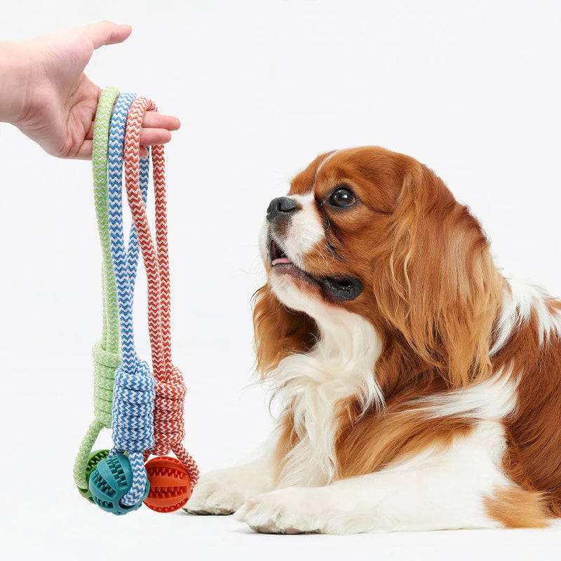 Pet Tooth Cleaning Pet Ball Toy with Rope Rubber Leaking Balls