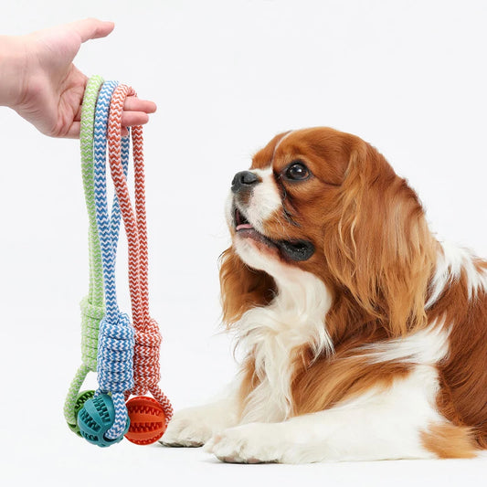 Pet Tooth Cleaning Pet Ball Toy with Rope Rubber Leaking Balls