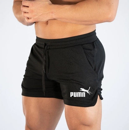 Summer Mesh Quick Drying Shorts Men's Sports