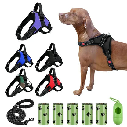 Adjustable Dog Harness Leash Set Chest Strap