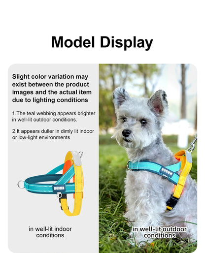 Dog Harness No Pull T-Shape Breathable Spring Summer