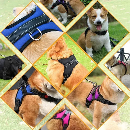 Adjustable Dog Harness Leash Set Chest Strap