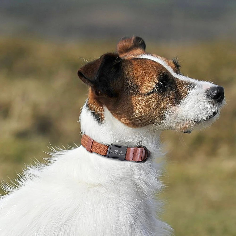 Custom Dog Collar Durable Nylon Free Engraved Pet Name