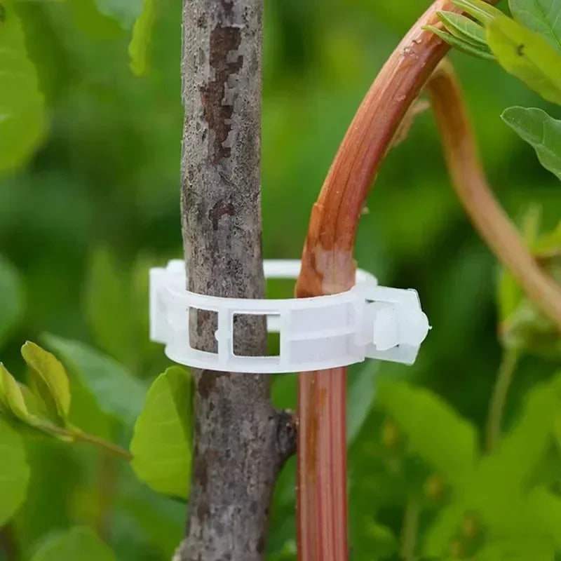 Plant Support Clips Reusable Plastic Connects Vine