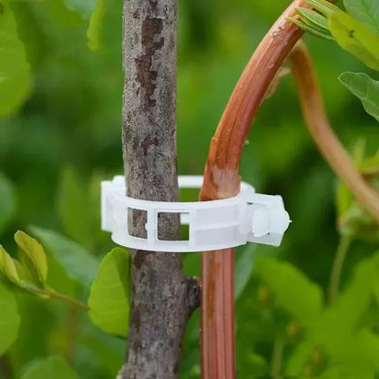 Plant Support Clips Reusable Plastic Connects Vine