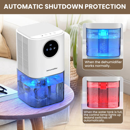 Portable Dehumidifier With 35 Ounces Capacity