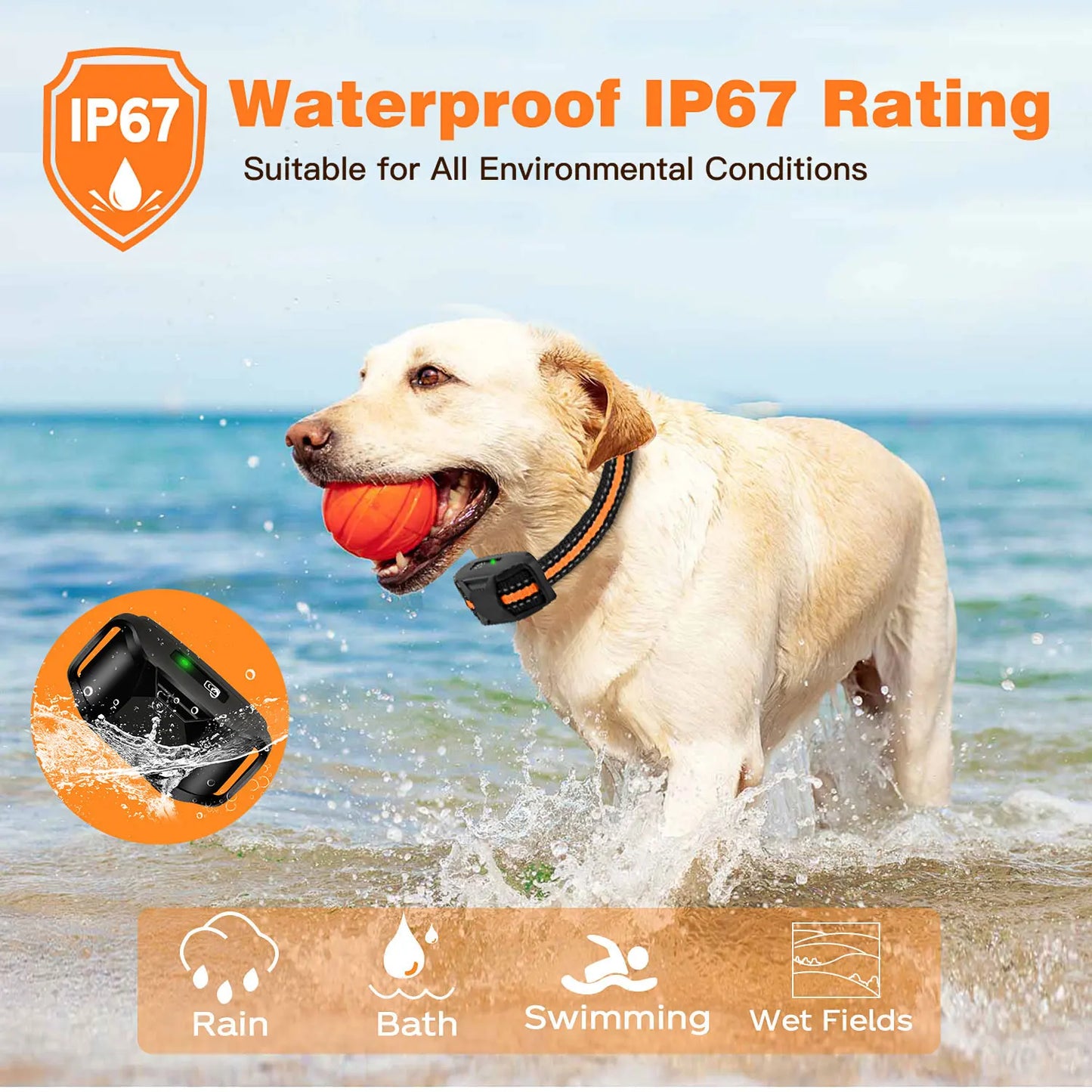 Electric Dog Training Collar Remote Control Waterproof