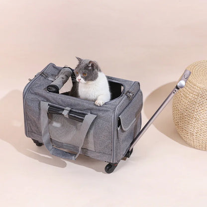 Pet Carrier with Wheels for Dogs Rolling Pet Carrier