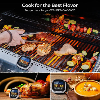 HOMEFISH Digital Meat Kitchen Thermometer Stainless