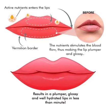 Lip Plumper Oil Instantly Volumising Increase Lip Elasticity