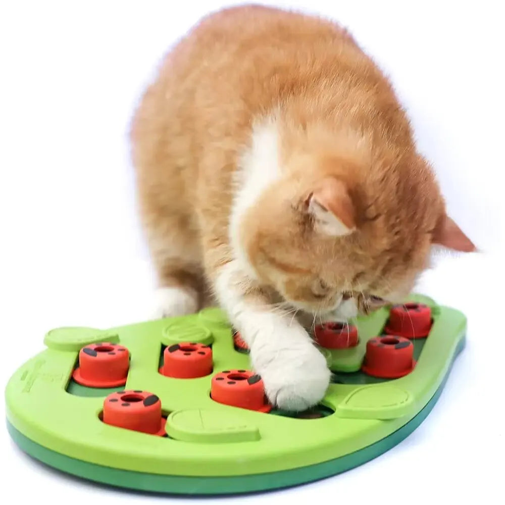 Cat Puzzle Treat Toy Made of High Quality Non Toxic