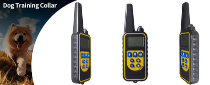 Dog Training Collar with Remote IP67 Waterproof