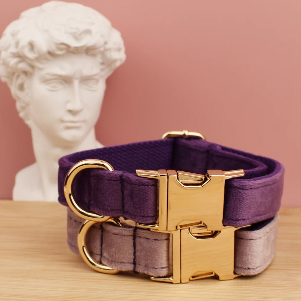 Velvet Collar Free Engrave Dog Collar Leash Dog Collars