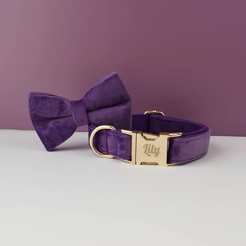 Velvet Collar Free Engrave Dog Collar Leash Dog Collars