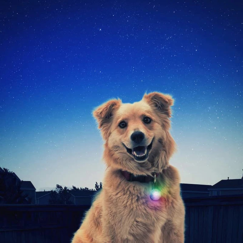Usb Charging Glowing Dog Collar With Pendant Detachable
