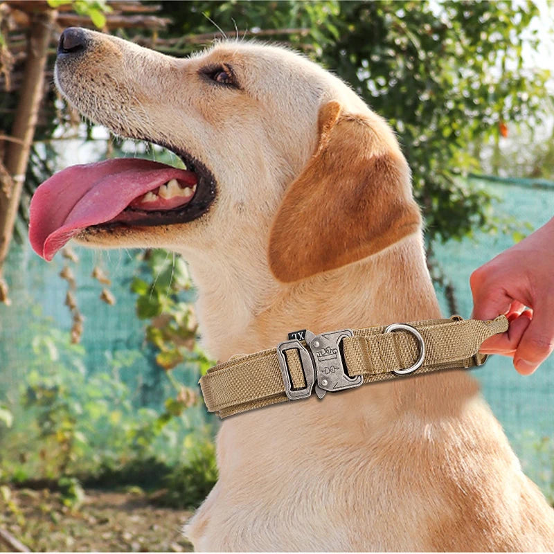 Pet Dog Collar Leash Set Nylon Material Durable Dog Collar