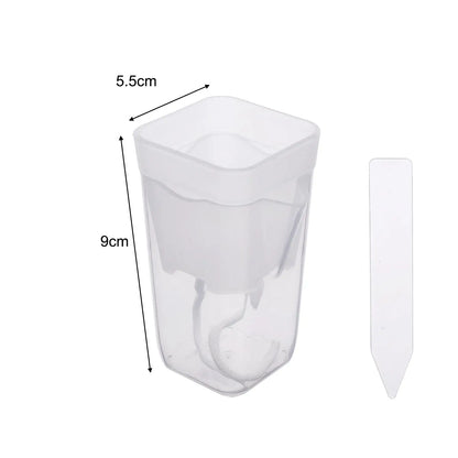 Transparent Flower Plant Pot Self Watering Planter