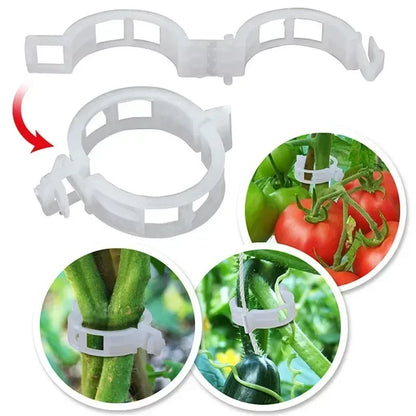 Plant Support Clips Reusable Plastic Connects Vine