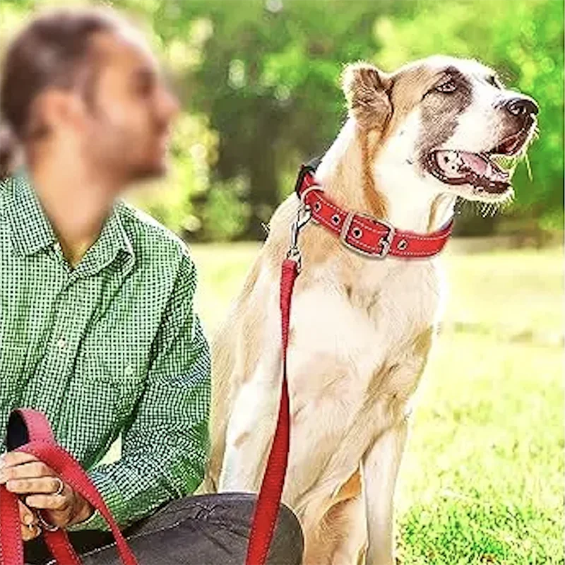Padded Dog Collars Soft Reflective Wide Pet Collars
