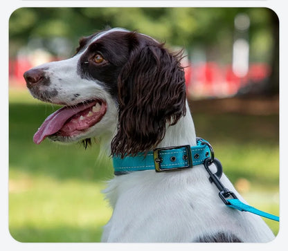Padded Dog Collars Soft Reflective Wide Pet Collars