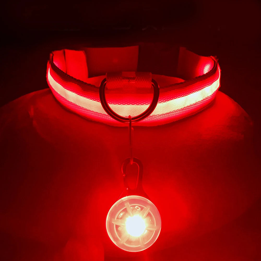 Usb Charging Glowing Dog Collar With Pendant Detachable