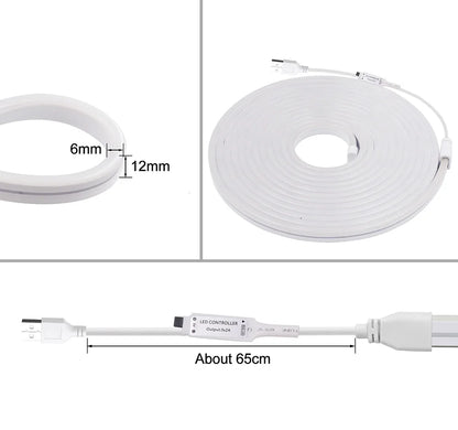 5V USB RGB LED Neon Strip Light 24key Remote Control