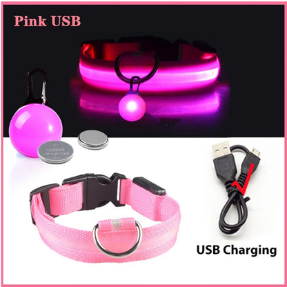 Usb Charging Glowing Dog Collar With Pendant Detachable
