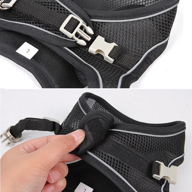 Puppy Harness Set Dog Accessories Adjustable Harness