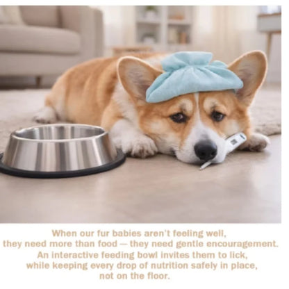 Slow Feeder Dog Bowls for Liquid Treat Bone Broth