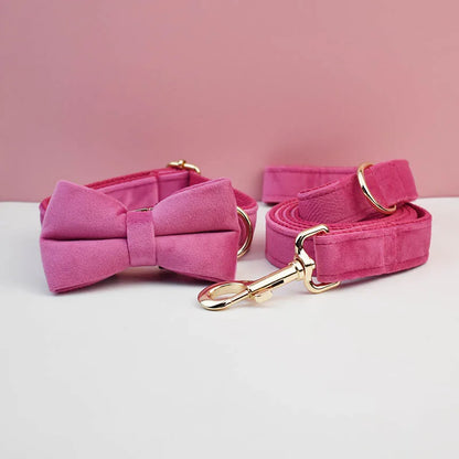 Velvet Collar Free Engrave Dog Collar Leash Dog Collars