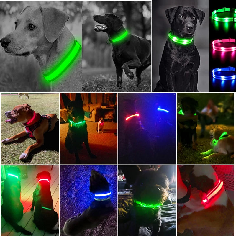 Usb Charging Glowing Dog Collar With Pendant Detachable