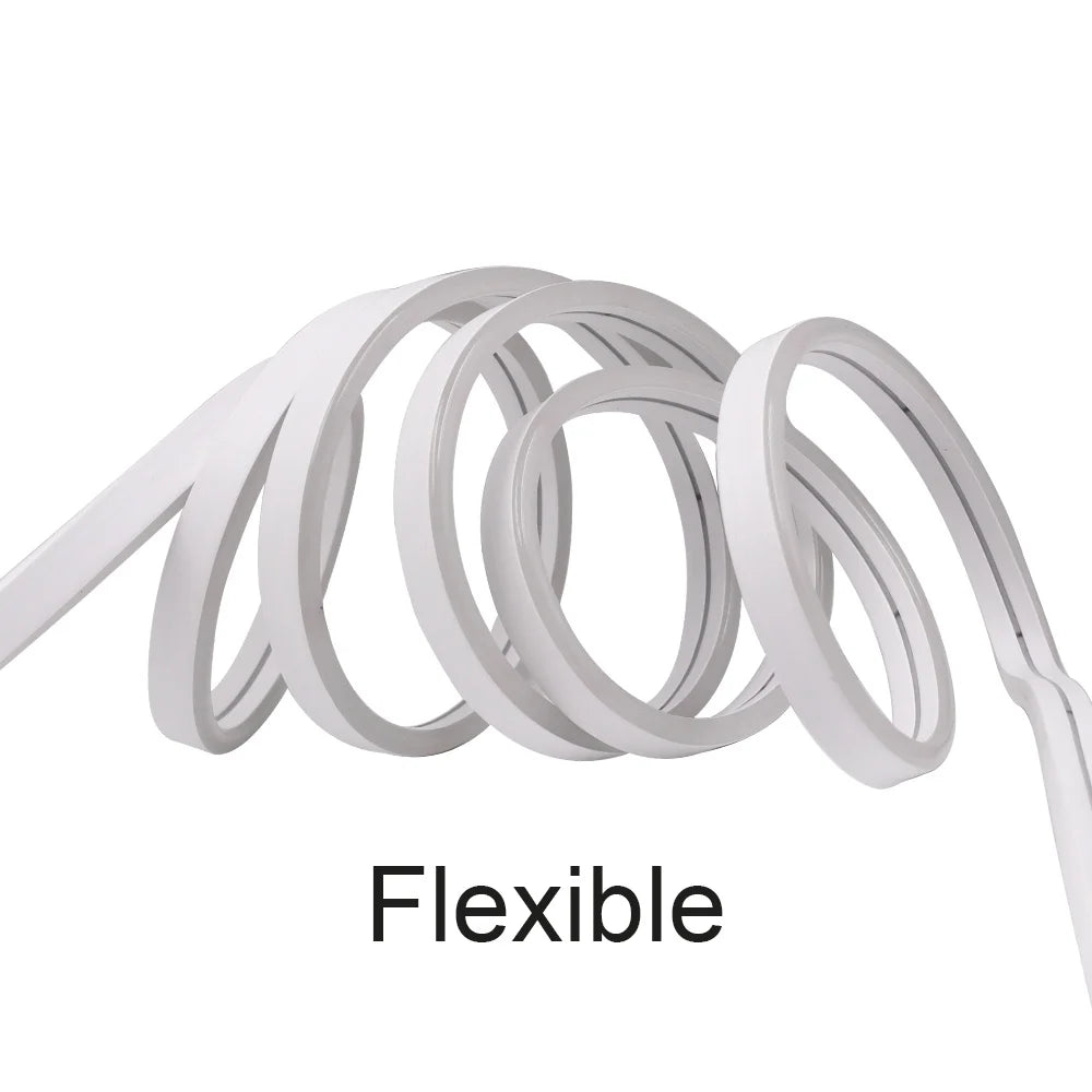 12V 24V LED Neon Strip Light Neon Sign Waterproof Rope Lights