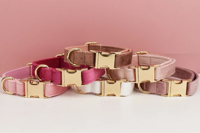 Velvet Collar Free Engrave Dog Collar Leash Dog Collars