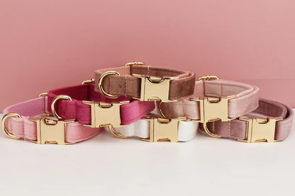 Velvet Collar Free Engrave Dog Collar Leash Dog Collars