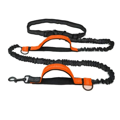 Double elastic reflective running leash portable