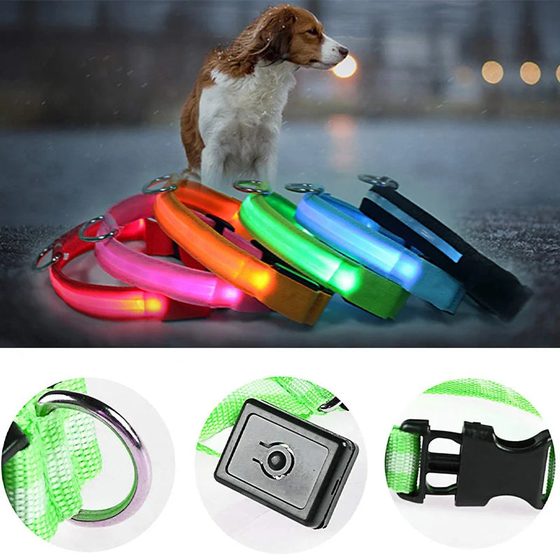 Usb Charging Glowing Dog Collar With Pendant Detachable