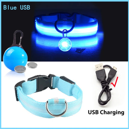 Usb Charging Glowing Dog Collar With Pendant Detachable