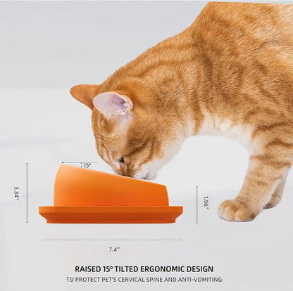 Tilted Cat Bowl Stainless Steel Neck Protection Anti Slip