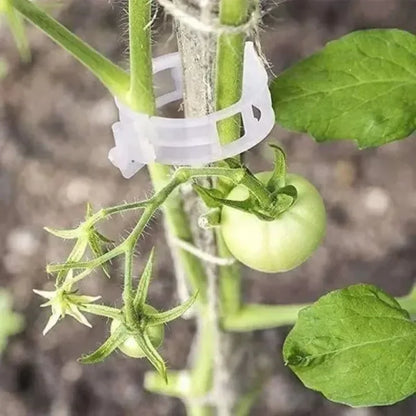 Plant Support Clips Reusable Plastic Connects Vine