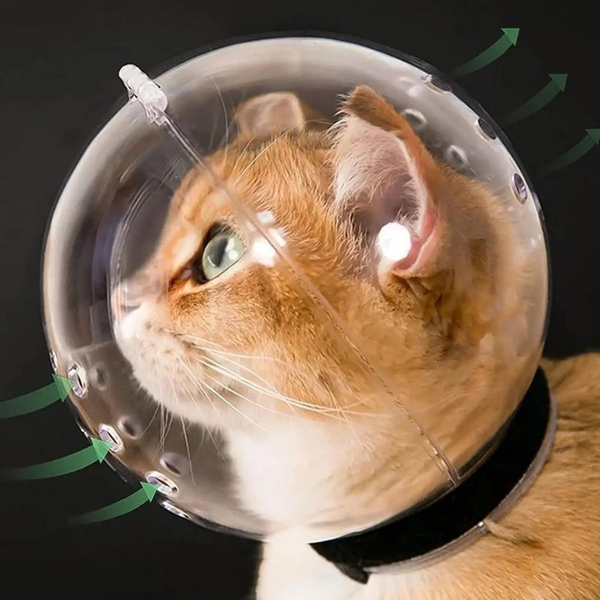 Breathable Sturdy Muzzle Mask Cat Head Cover Space Hood